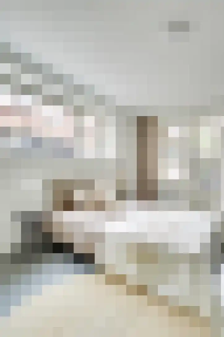 Van Brakelstraat 23 Utrecht thumbnail 45