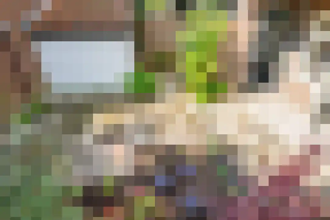 Van Brakelstraat 23 Utrecht thumbnail 7