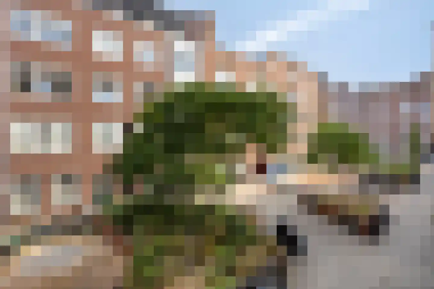 Van Brakelstraat 35 1 Amsterdam thumbnail 21