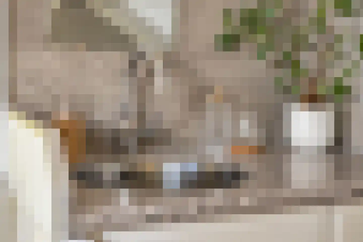 Van Brakelstraat 4 Borne thumbnail 14