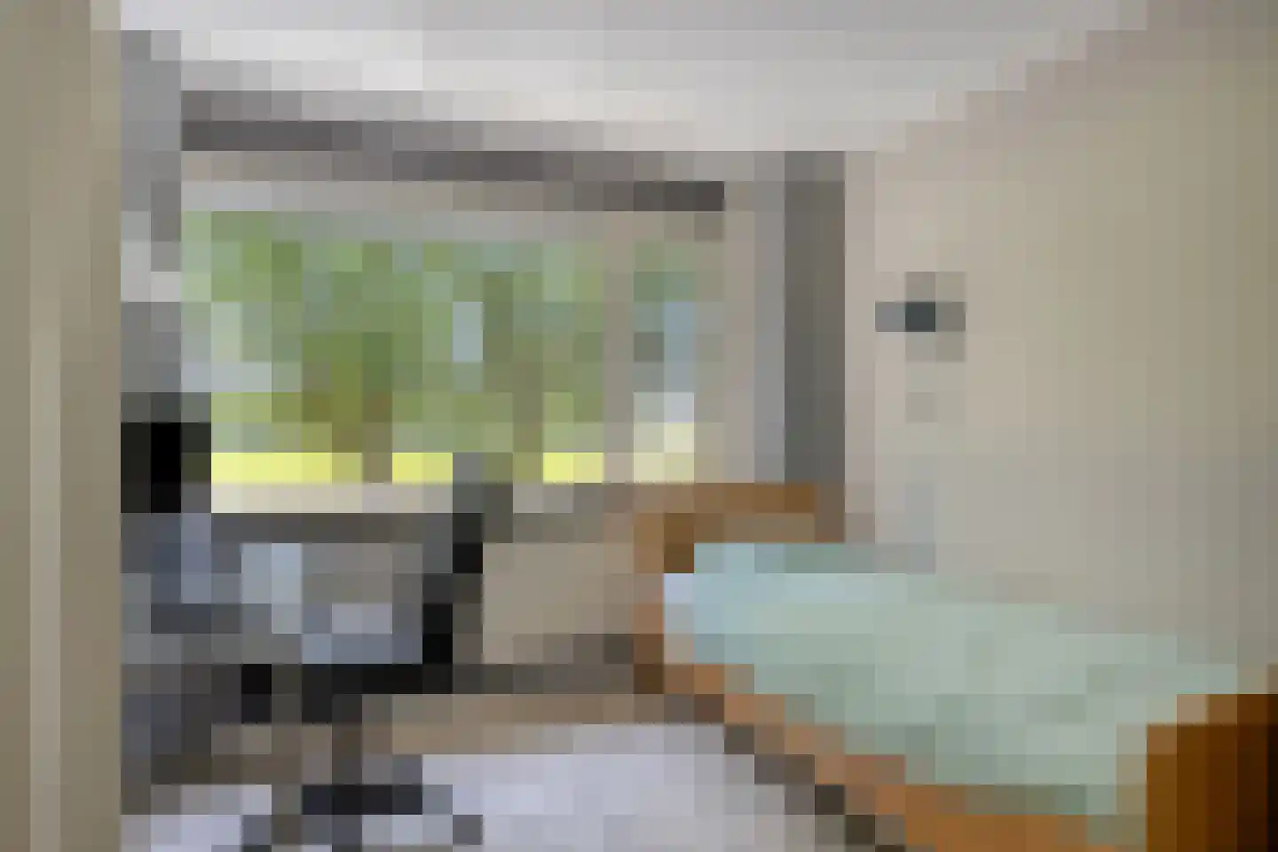 Van Brakelstraat 4 Borne thumbnail 20