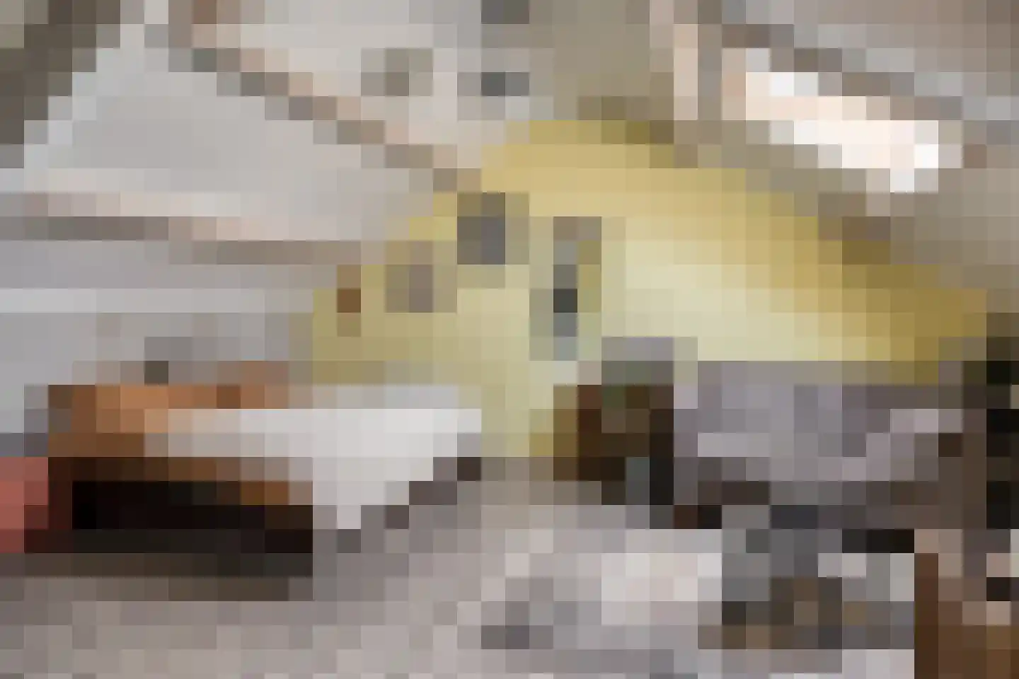 Van Brakelstraat 4 Borne thumbnail 23