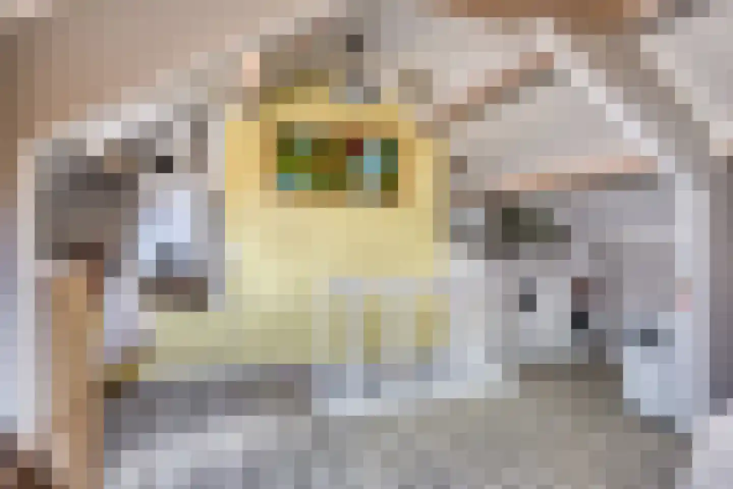 Van Brakelstraat 4 Borne thumbnail 24