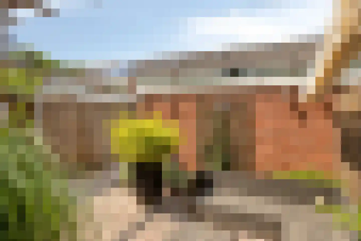 Van Brakelstraat 4 Borne thumbnail 26