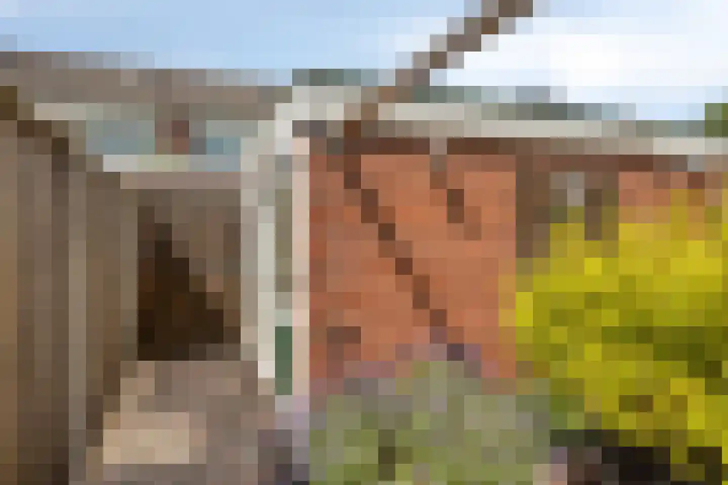 Van Brakelstraat 4 Borne thumbnail 27