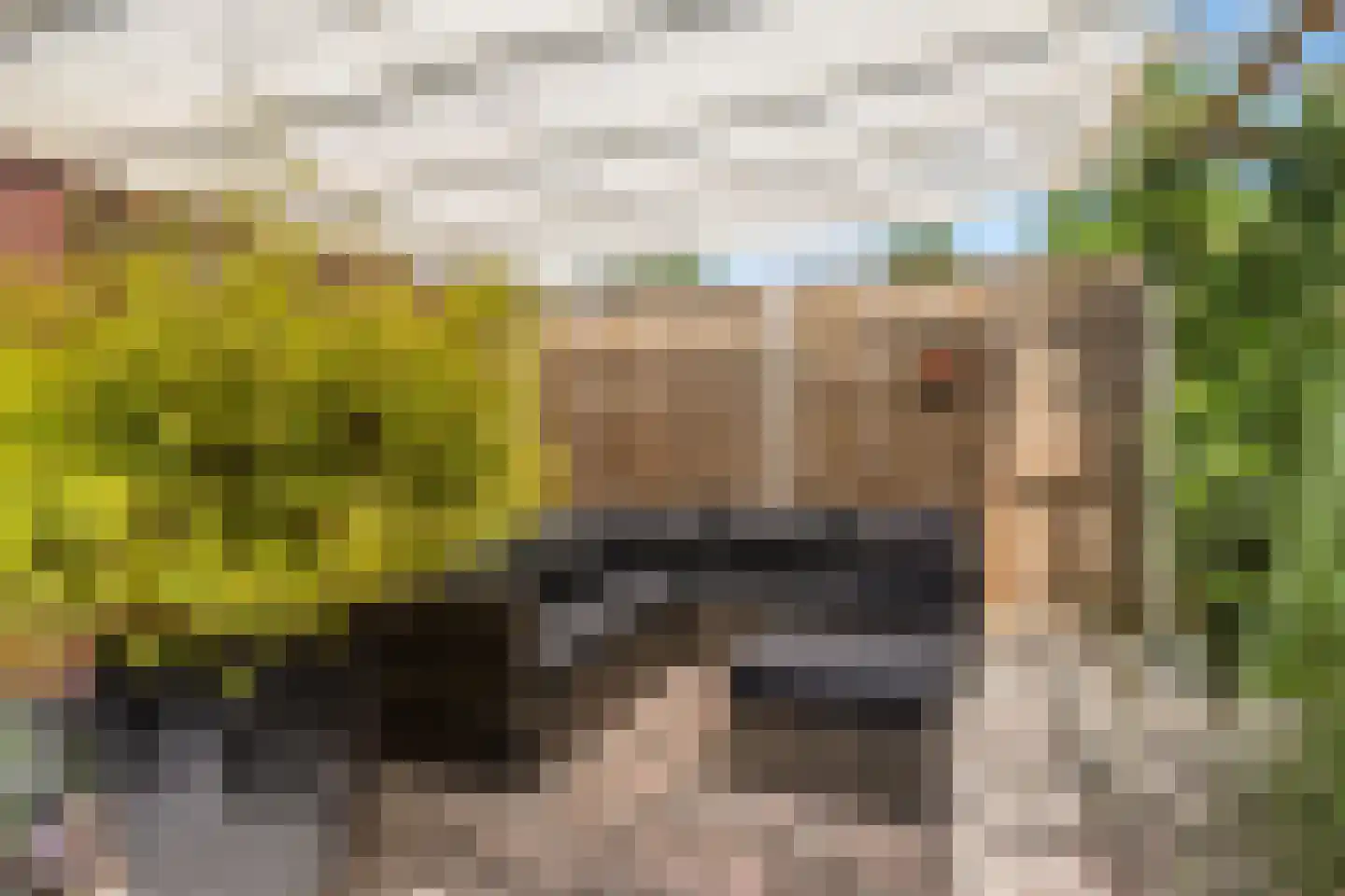 Van Brakelstraat 4 Borne thumbnail 28