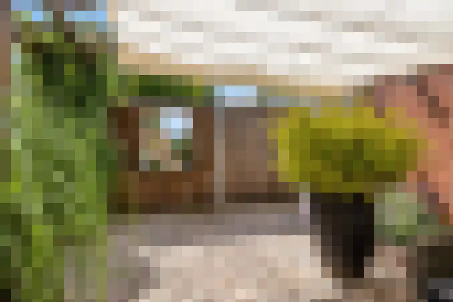 Van Brakelstraat 4 Borne thumbnail 29