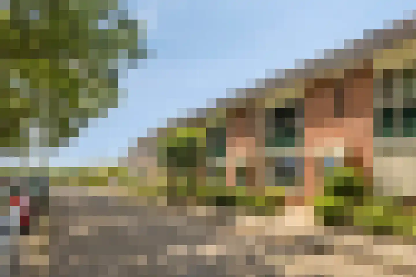 Van Brakelstraat 4 Borne thumbnail 34