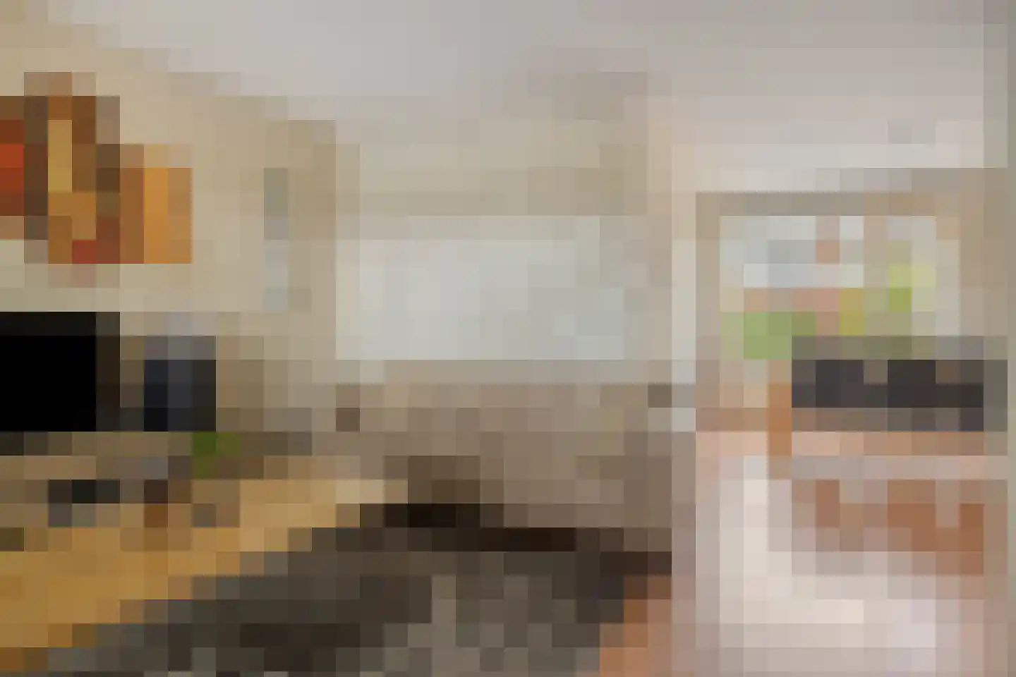 Van Brakelstraat 4 Borne thumbnail 6