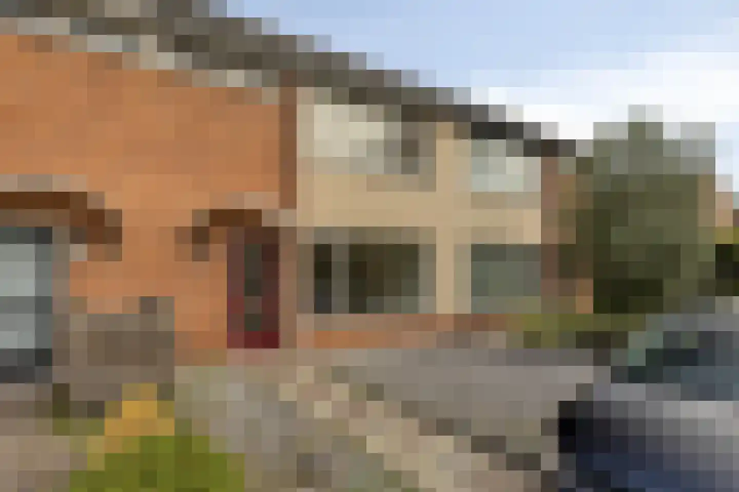 van Brakelstraat 4 Son en Breugel