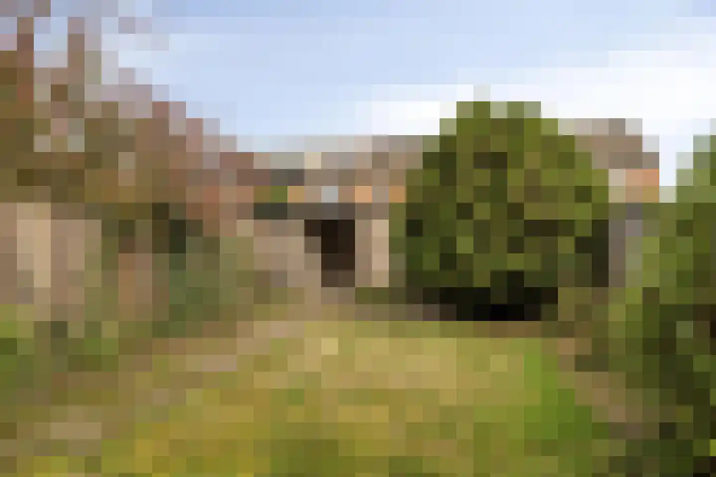 van Brakelstraat 4 Son en Breugel thumbnail 29