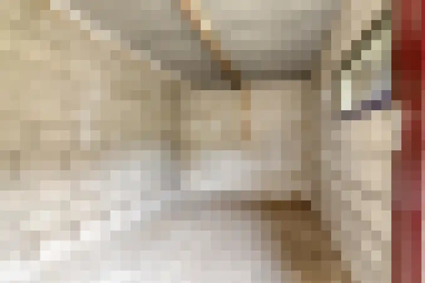 van Brakelstraat 4 Son en Breugel thumbnail 34