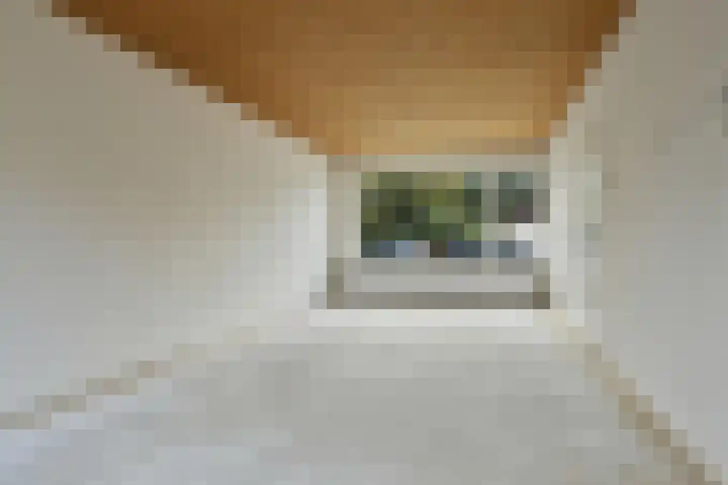 van Brakelstraat 4 Son en Breugel thumbnail 5