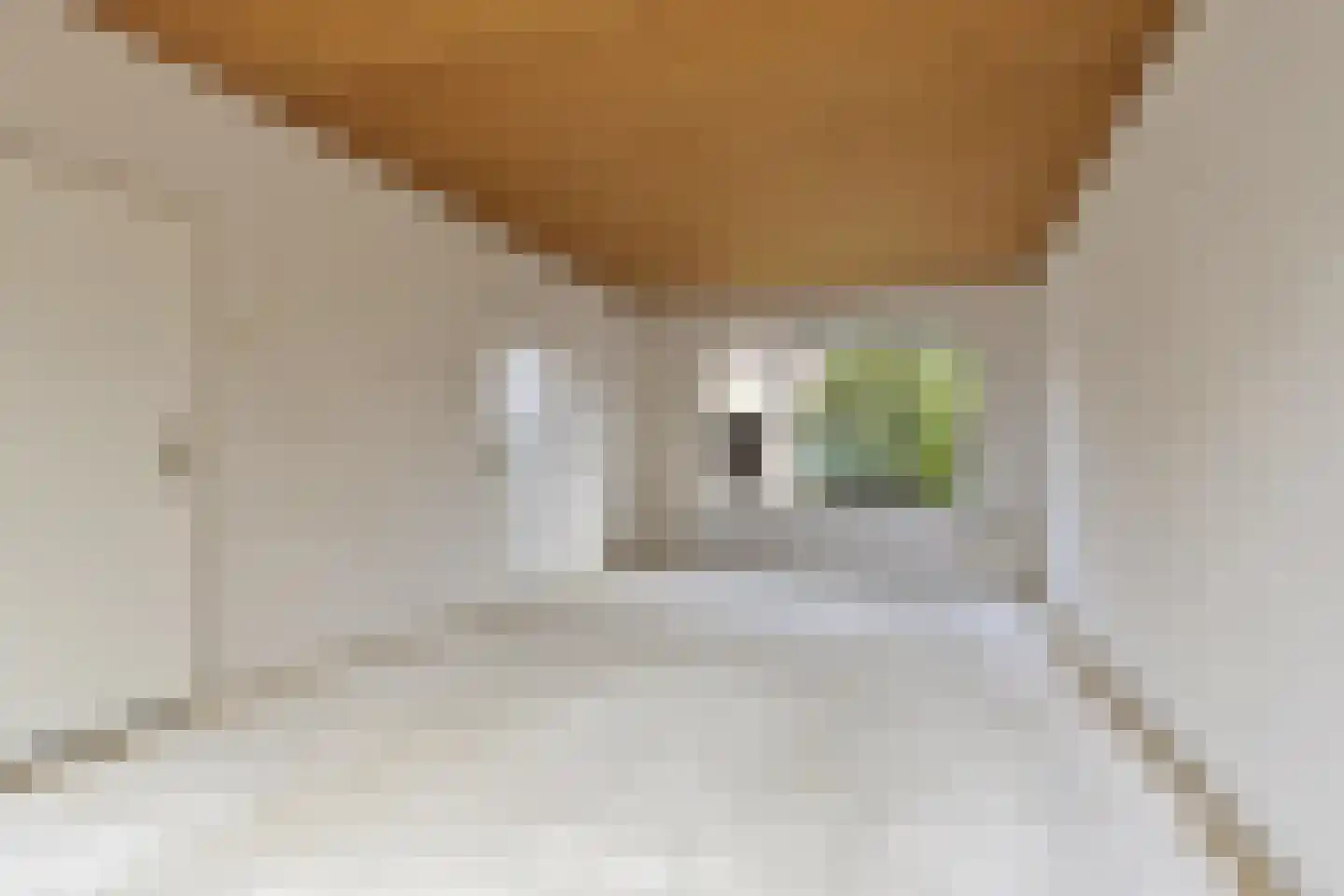 van Brakelstraat 4 Son en Breugel thumbnail 7
