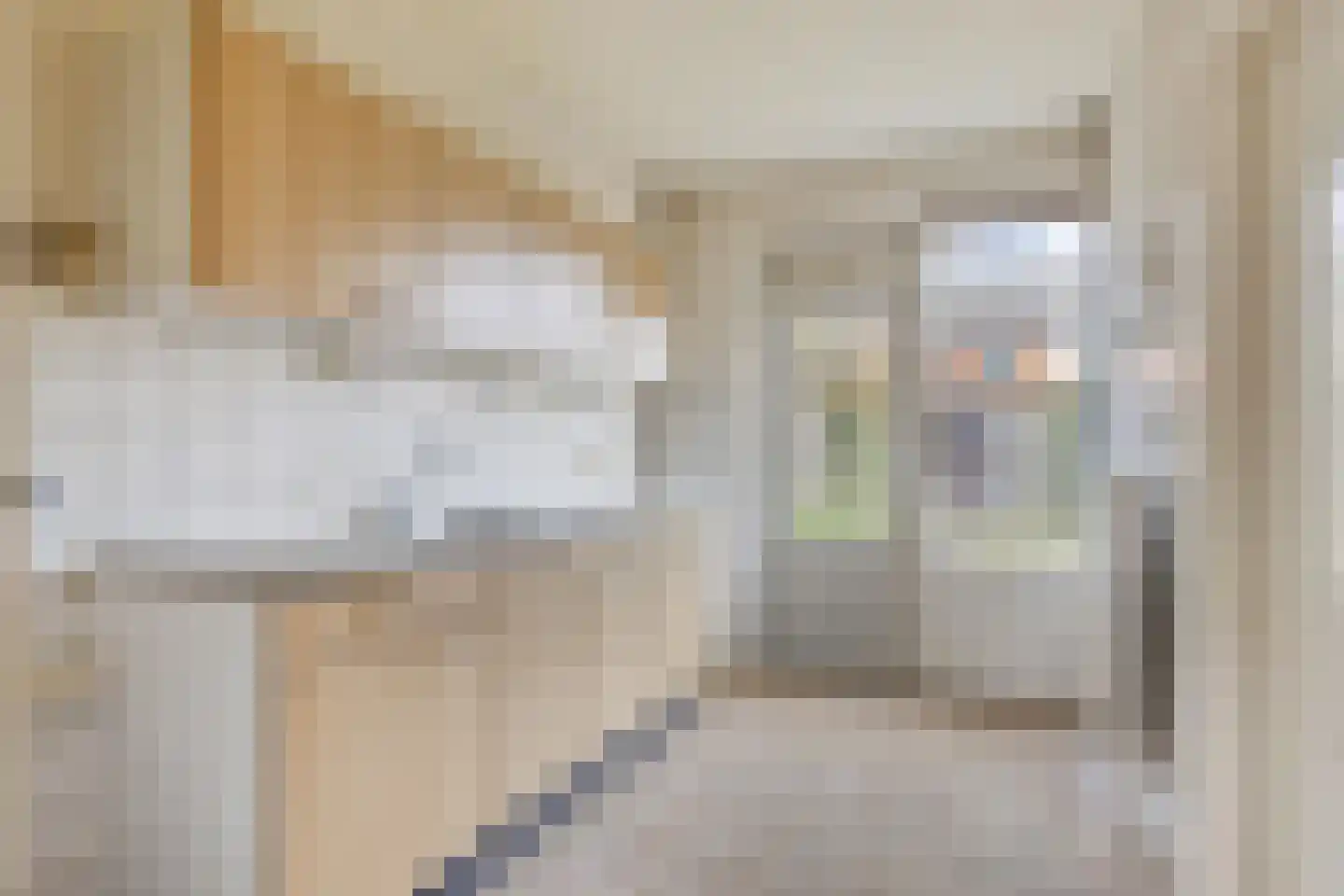 van Brakelstraat 4 Son en Breugel thumbnail 8