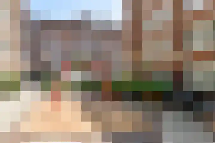 Van Brakelstraat 40 Amsterdam thumbnail 31