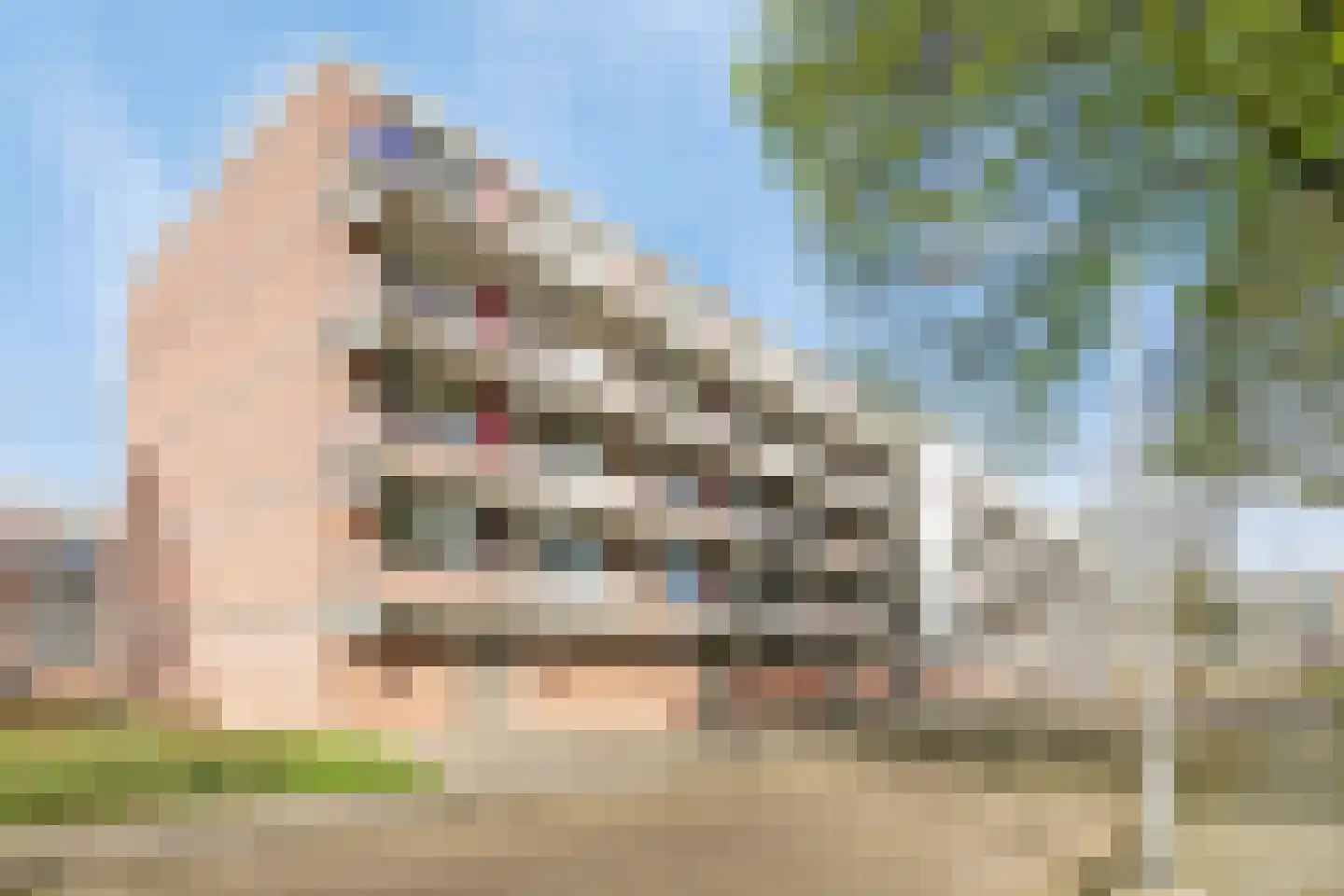 van Brakelstraat 57 Terneuzen