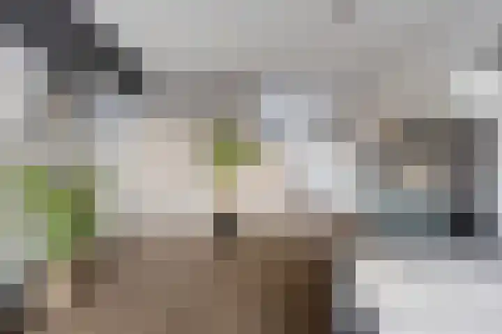 van Brakelstraat 65 Terneuzen thumbnail 12