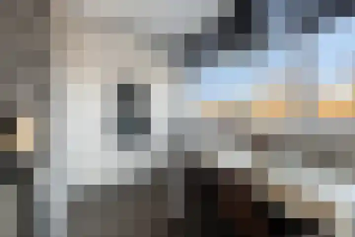 van Brakelstraat 65 Terneuzen thumbnail 16