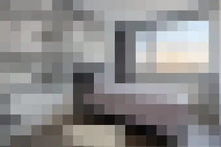 van Brakelstraat 65 Terneuzen thumbnail 18