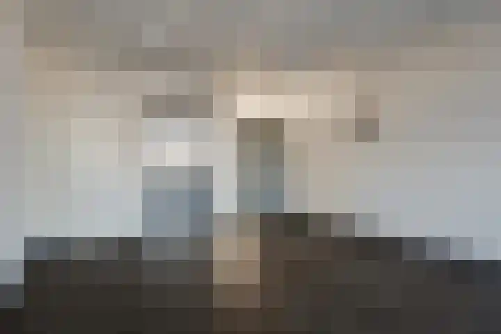 van Brakelstraat 65 Terneuzen thumbnail 5