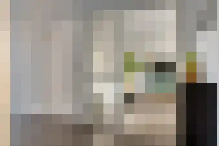 van Brakelstraat 65 Terneuzen thumbnail 8