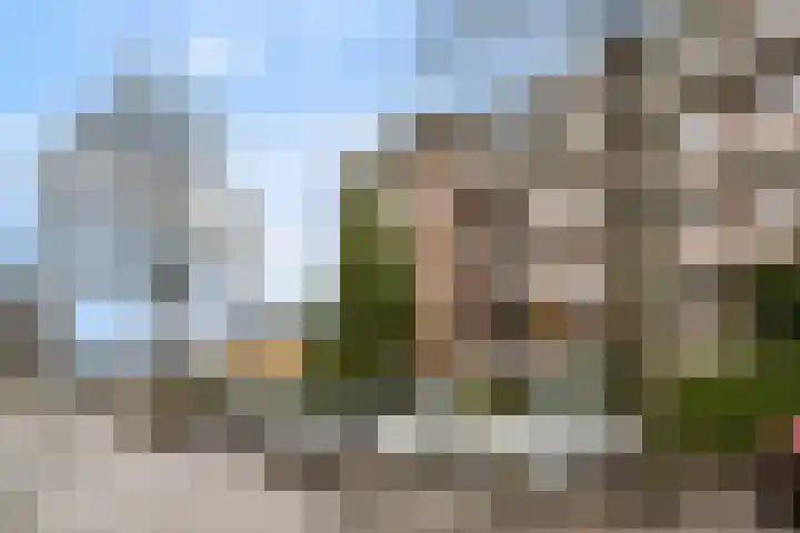 Van Brakelstraat 72 Zoetermeer thumbnail 6