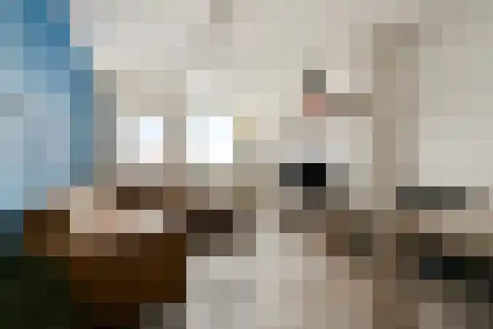 Van Brakelstraat 72 Zoetermeer thumbnail 7