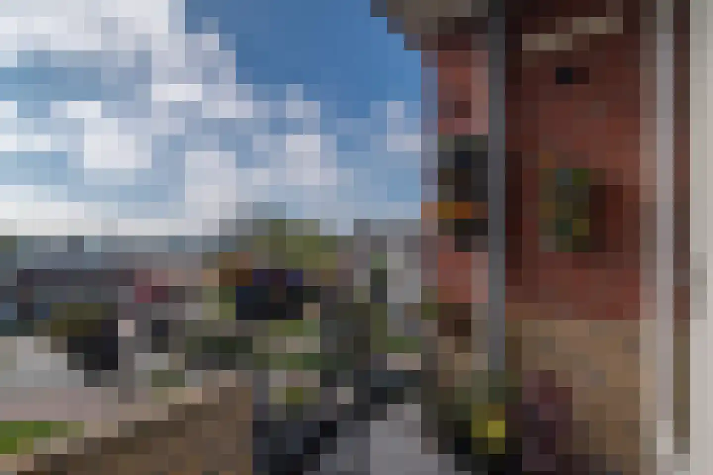 Van Brakelstraat 76 Zoetermeer thumbnail 12