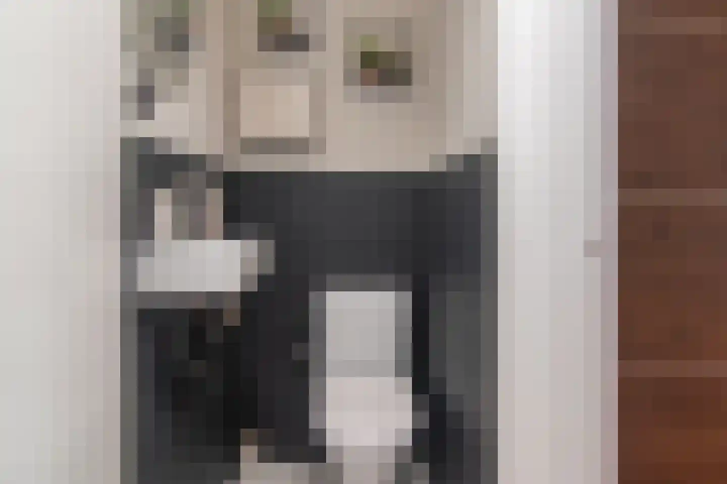 Van Brakelstraat 76 Zoetermeer thumbnail 21