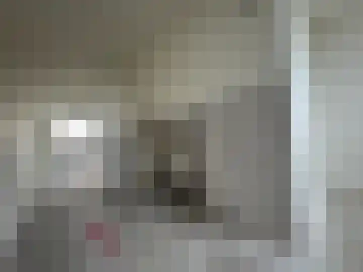 van Brakelstraat 77 Terneuzen thumbnail 7