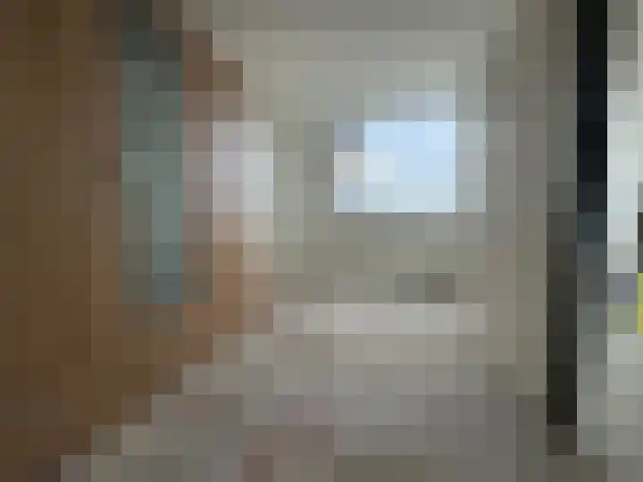 van Brakelstraat 77 Terneuzen thumbnail 8