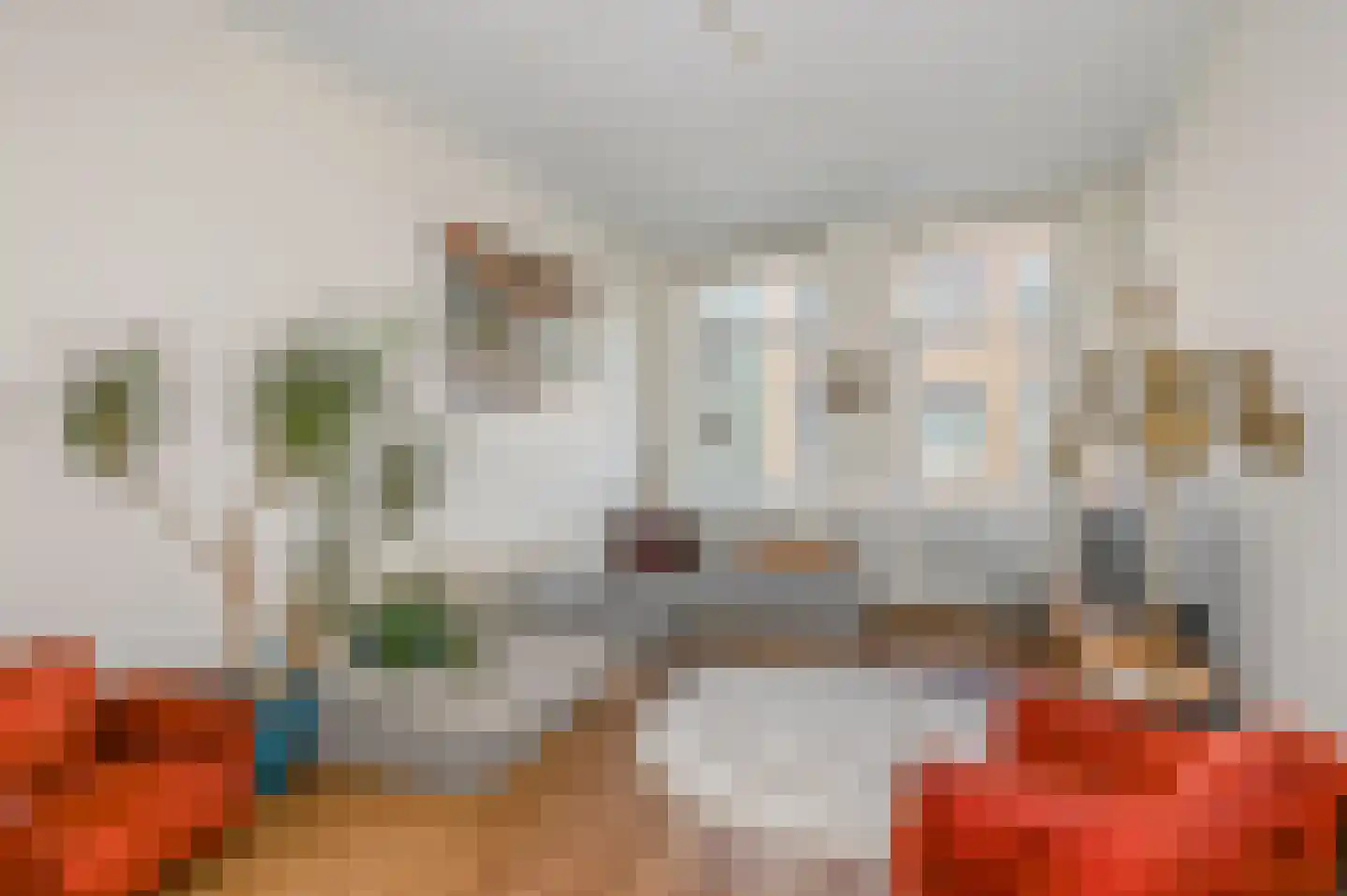 Van Brakelstraat 94 Den Haag thumbnail 12