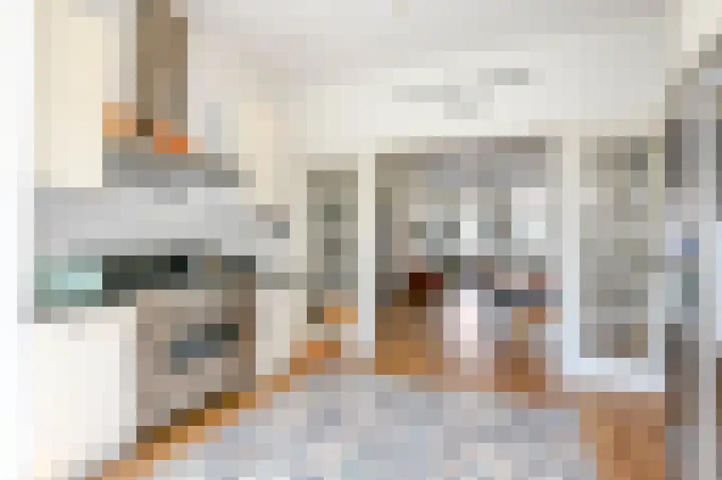 Van Brakelstraat 94 Den Haag thumbnail 23