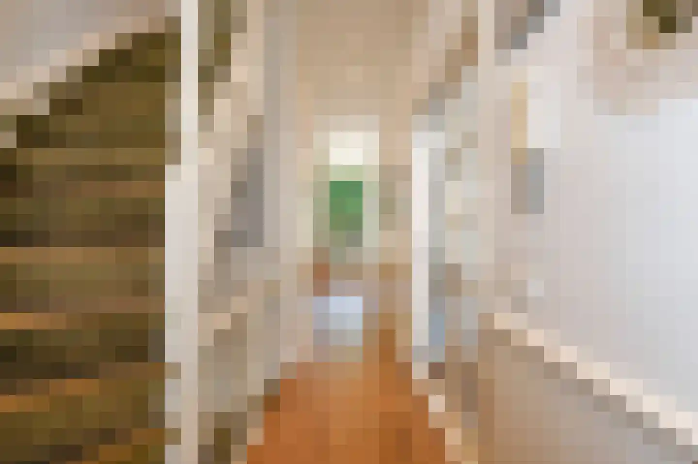 Van Brakelstraat 94 Den Haag thumbnail 6