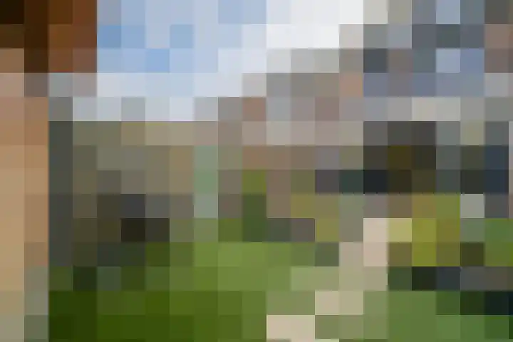 Van Brakelvliet 16 Barendrecht thumbnail 30