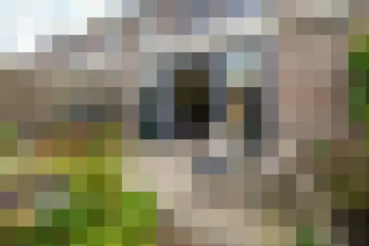 Van Brakelvliet 16 Barendrecht thumbnail 31