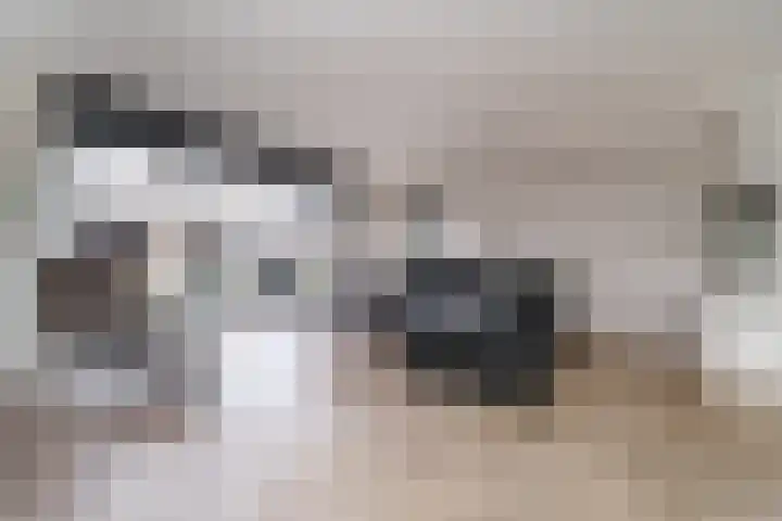 Van Brakelvliet 16 Barendrecht thumbnail 8