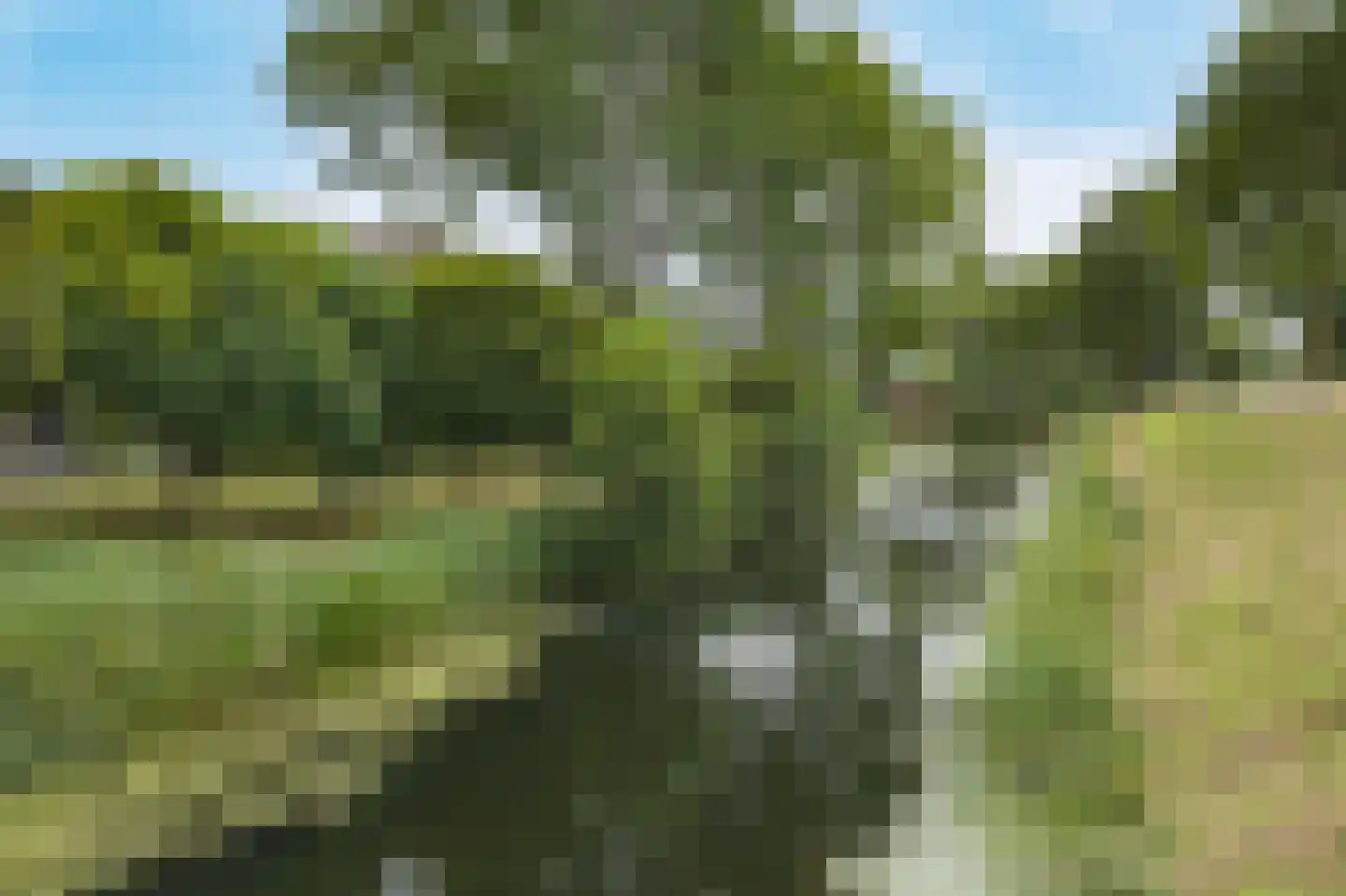 Van Brakelvliet 24 Barendrecht thumbnail 38