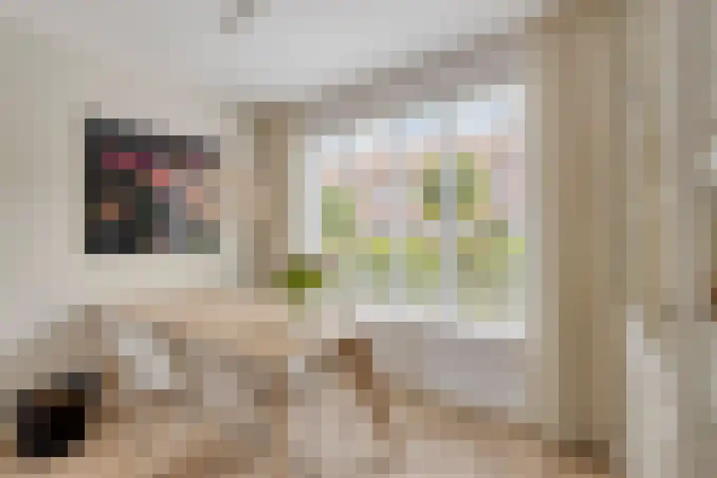 van Brechtstraat 12 Breda thumbnail 14