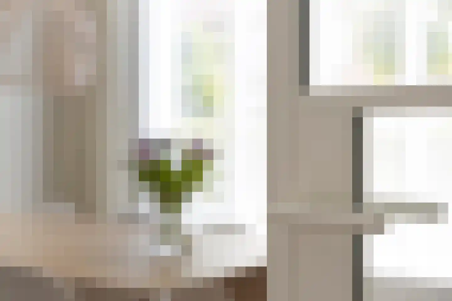 van Brechtstraat 12 Breda thumbnail 16