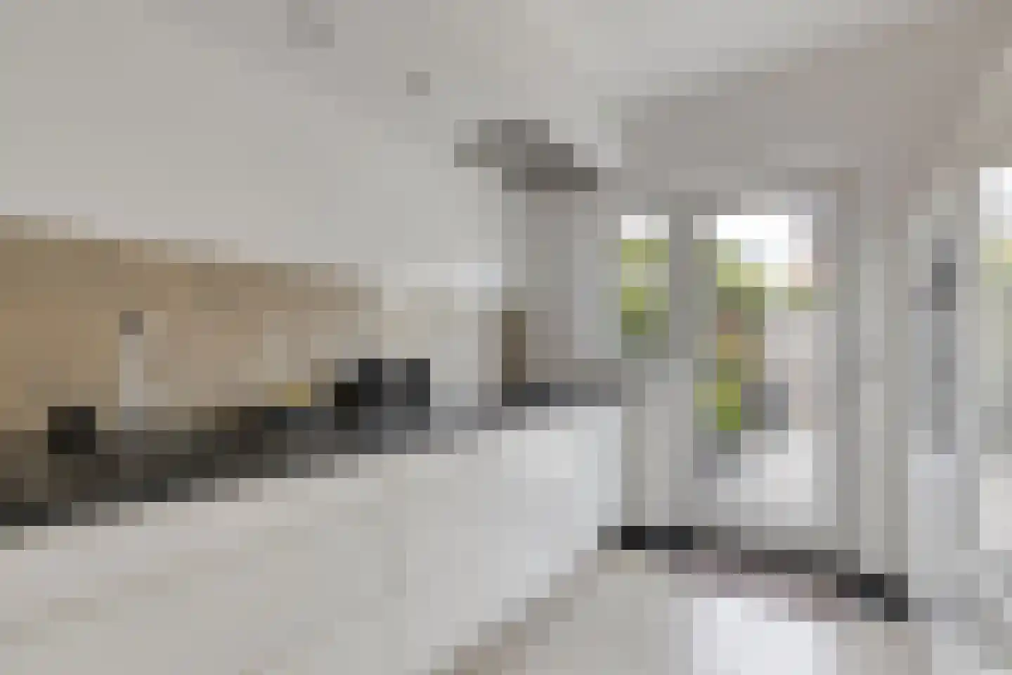van Brechtstraat 12 Breda thumbnail 21