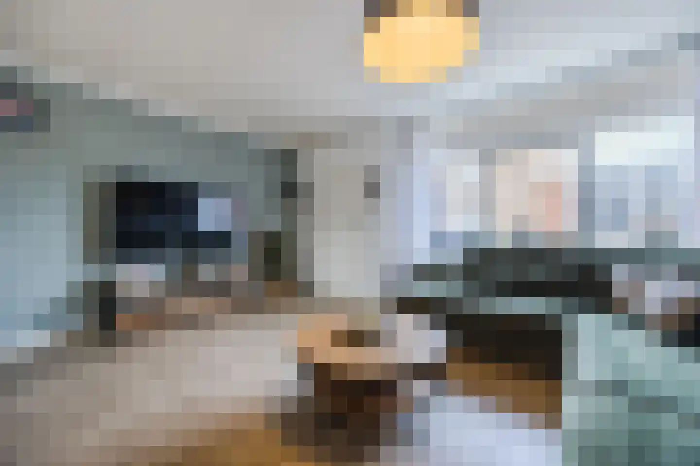 Van Bredastraat 6 Steenbergen thumbnail 13