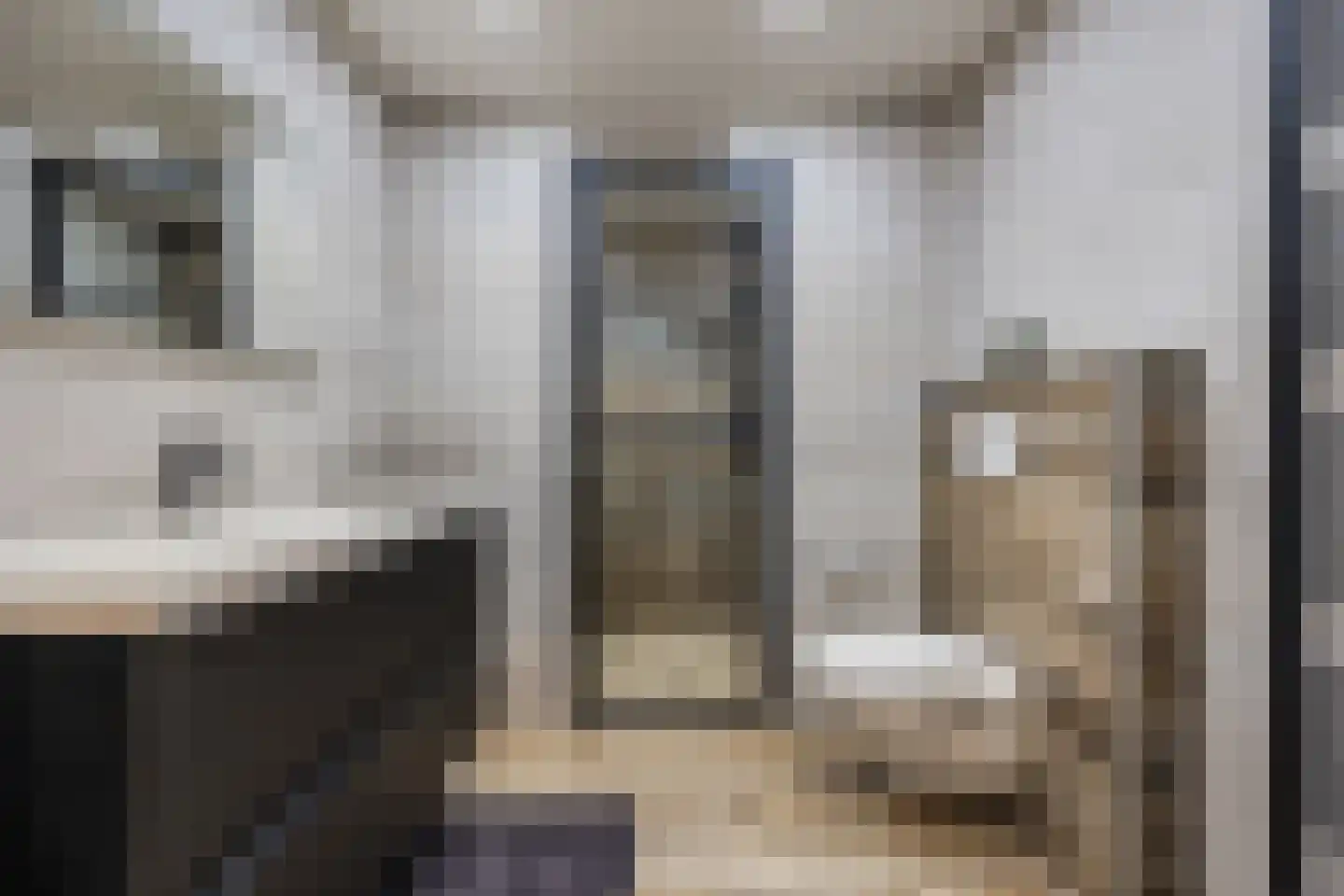 Van Bredastraat 6 Steenbergen thumbnail 32