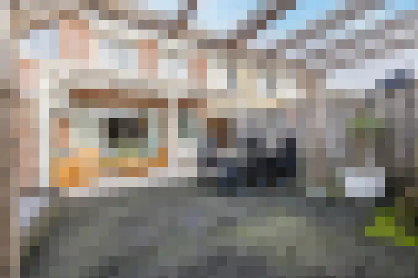 Van Bredastraat 6 Steenbergen thumbnail 44