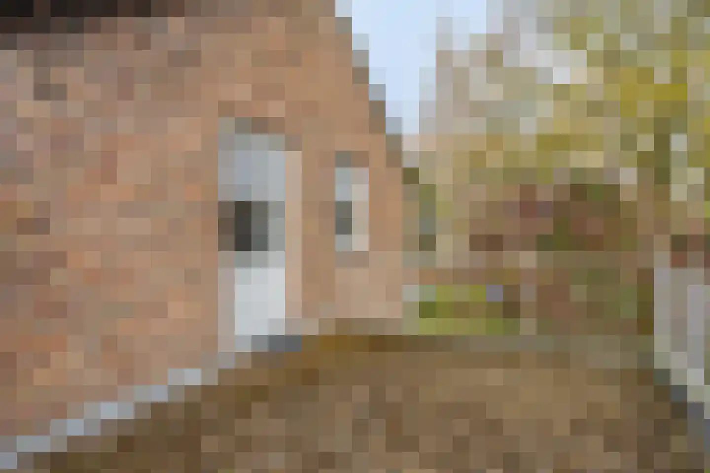 van Brederodelaan 4 Waalwijk thumbnail 31