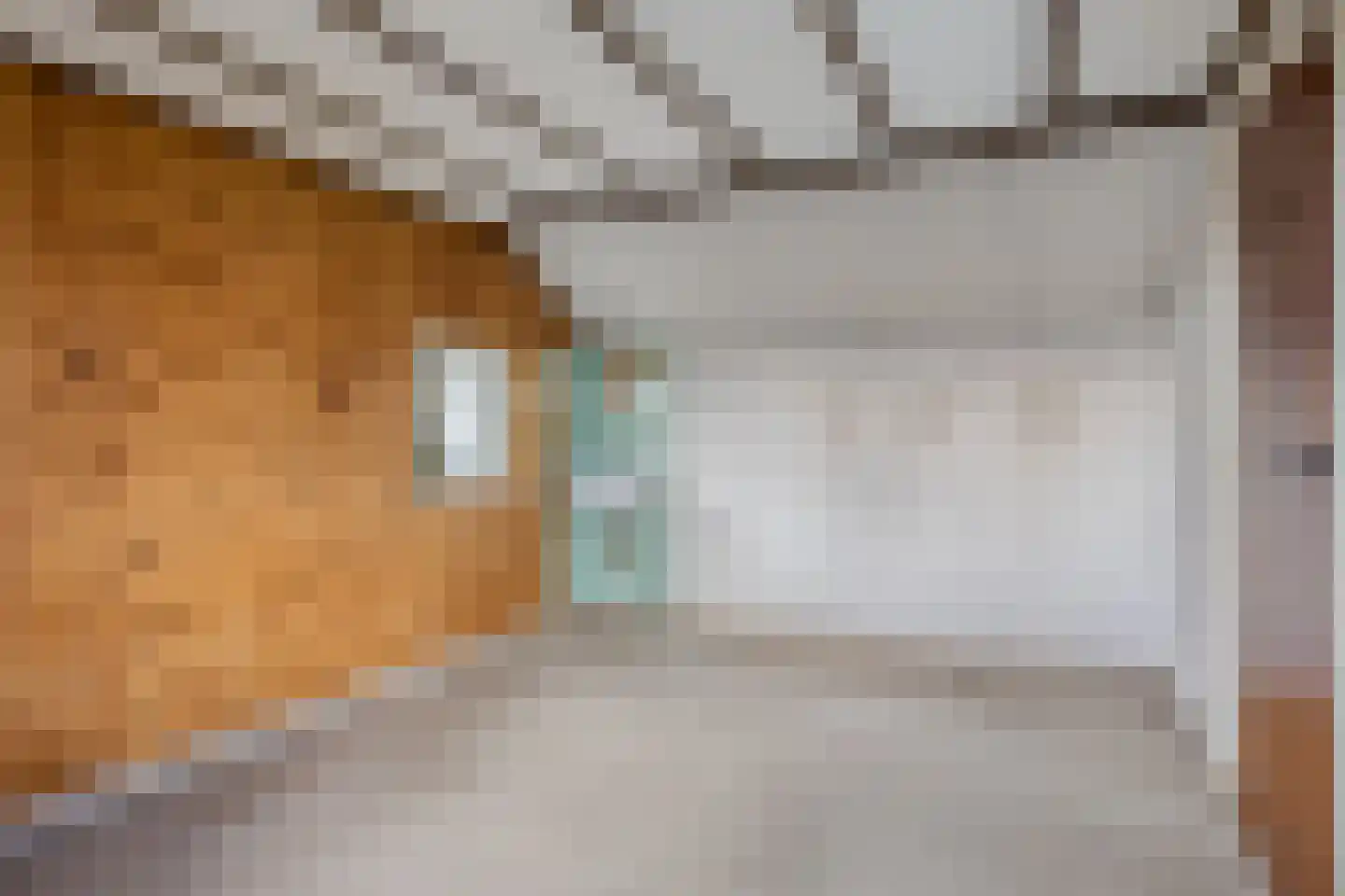 van Brederodelaan 4 Waalwijk thumbnail 38
