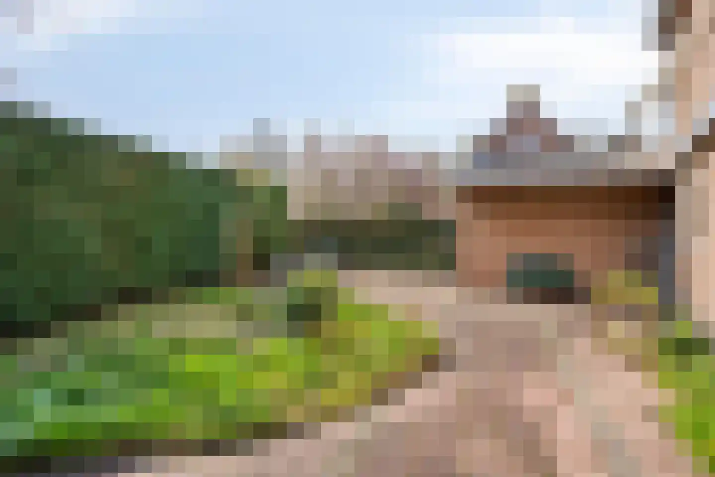 van Brederodelaan 4 Waalwijk thumbnail 42