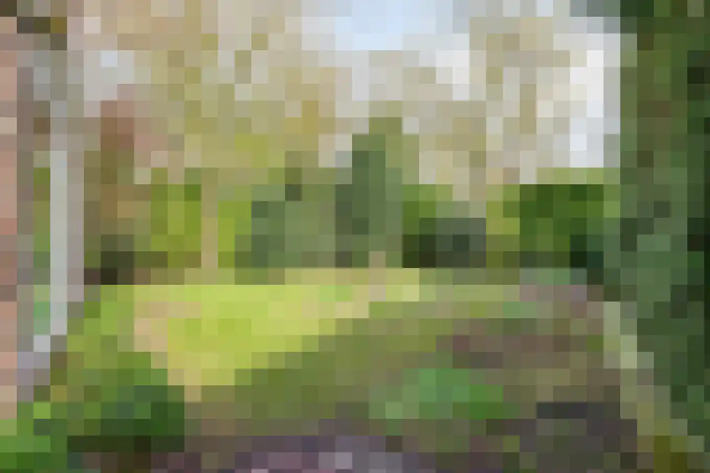 van Brederodelaan 4 Waalwijk thumbnail 43