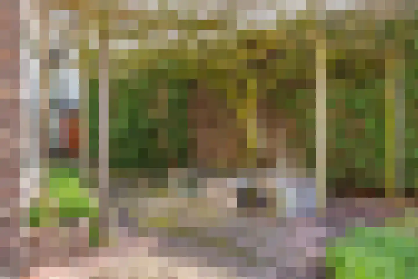 van Brederodelaan 4 Waalwijk thumbnail 46